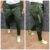 Track Pant 5